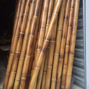Бамбуковые стволы